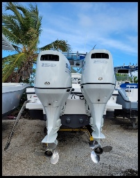 Dusky 278 Twin Motors