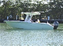 Sea Fox 266  Boat